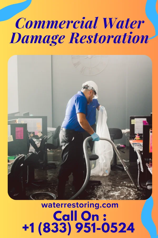 Commercial Water Damage Restoration in Pyote, TX